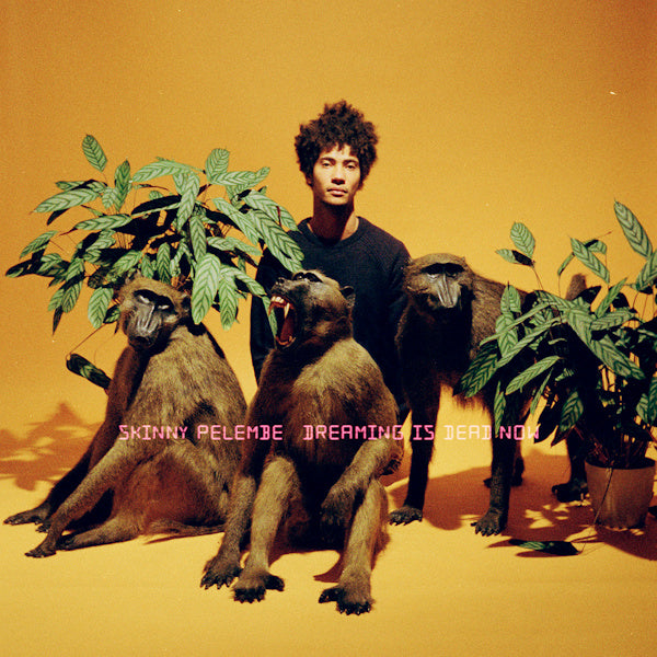 Skinny Pelembe - Dreaming is dead now (LP)