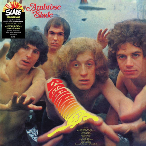 Slade - Beginnings (6974240 LP)