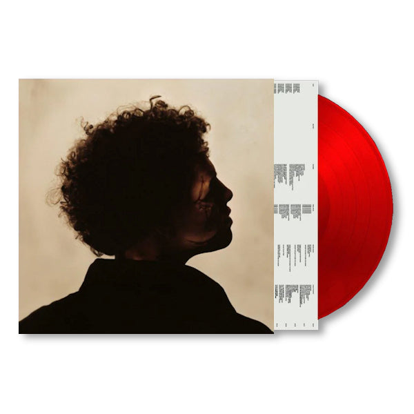Slowthai - Slowthai (180gr. Transparent Red Vinyl, High Quality, Transparent, Coloured Vinyl LP)
