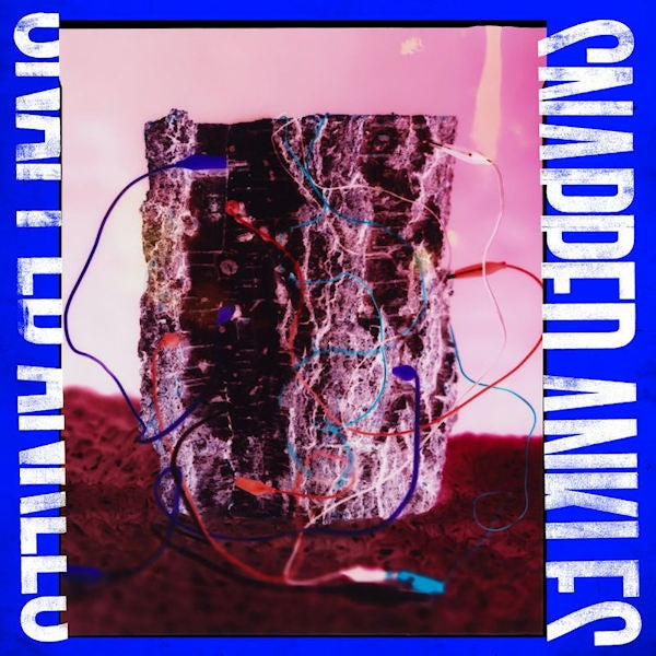 Snapped Ankles - Forest of Your Problems (Forest Floor Recycled LP)