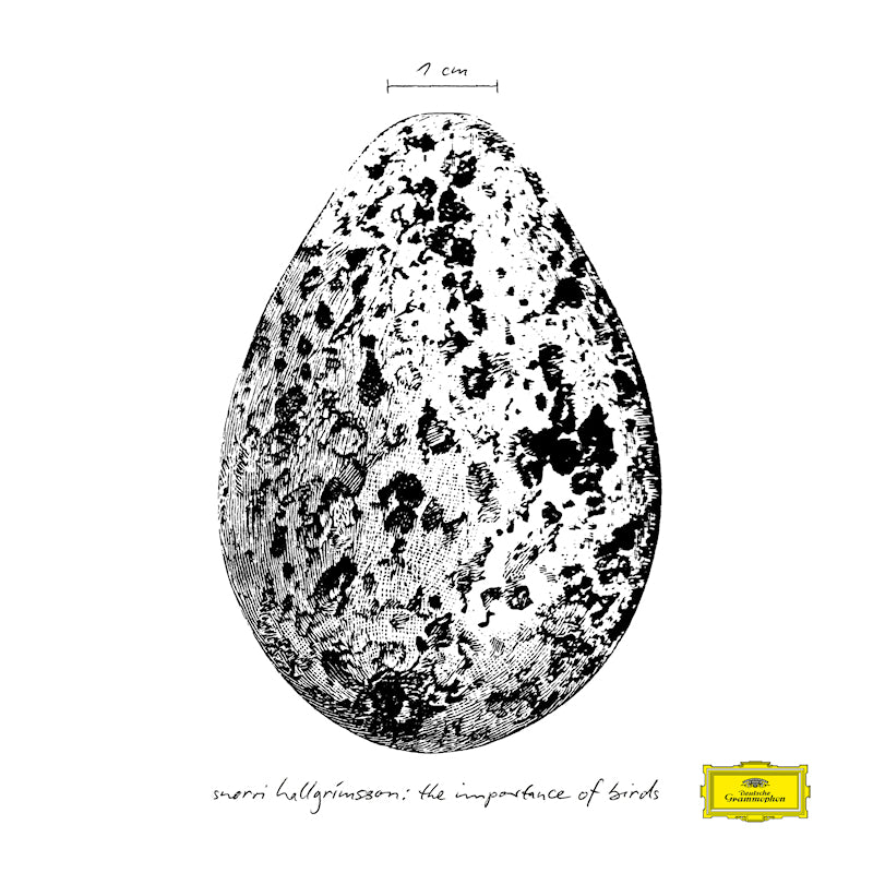 Snorri Hallgrímsson - The importance of birds (High Quality LP)