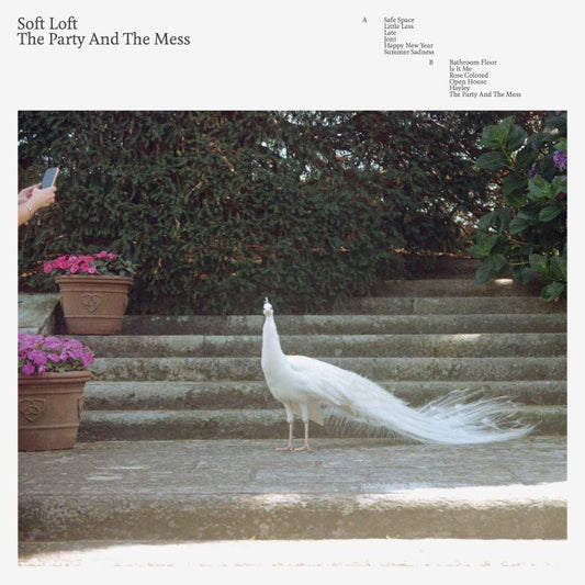 Soft Loft - The party and the mess (CD)