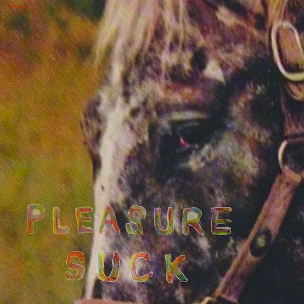 Spirit Of The Beehive - Pleasure suck (Digipak CD)