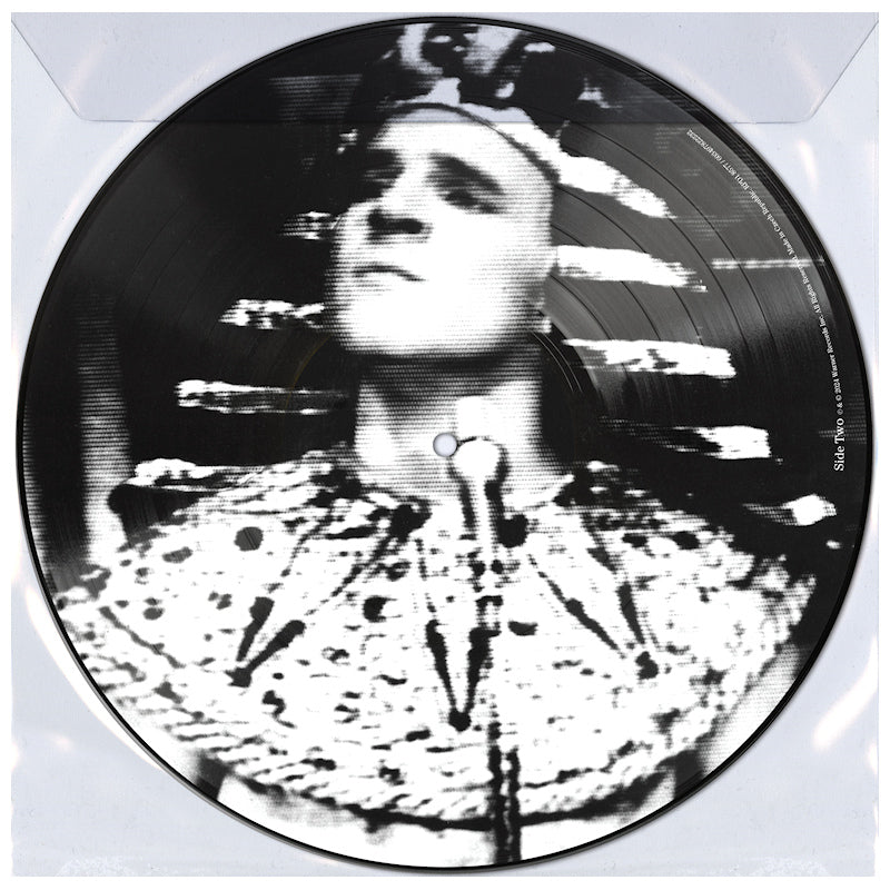 Steve Martin & The Toot Uncommons - King tut (Picture Disc, Limited Edition, Black Friday LP)