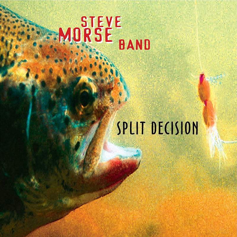Steve Morse -band- - Split decision (CD)