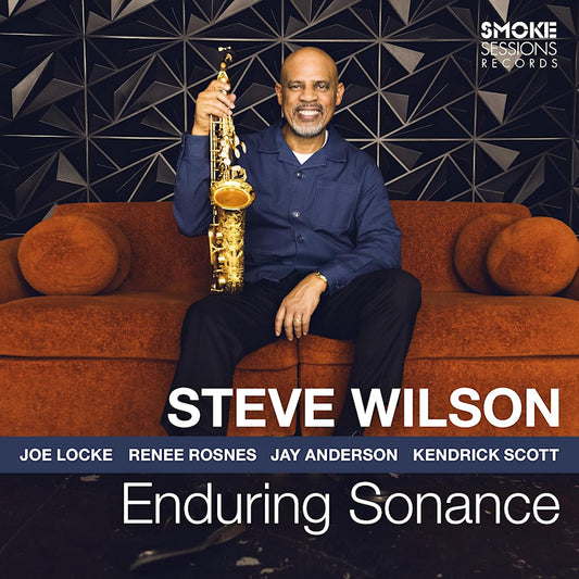 Steve Wilson - Enduring sonance (CD)