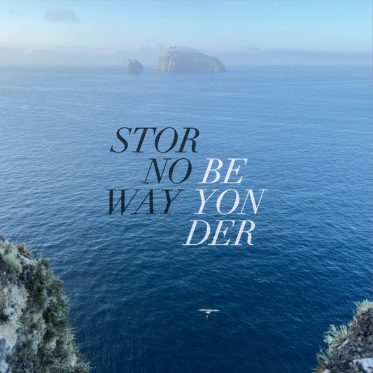 Stornoway - Beyonder (LP)