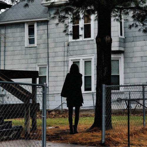 Tallest Man On Earth - Dark bird is home (LP)