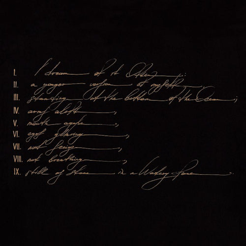 Telefon Tel Aviv - Dreams are not enough (CD)