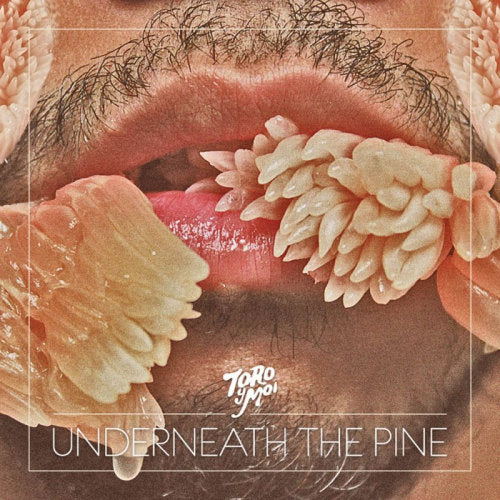 Toro Y Moi - Underneath the pine (Toro Y Moi is the Stage Name Used By Recording Artist C LP)