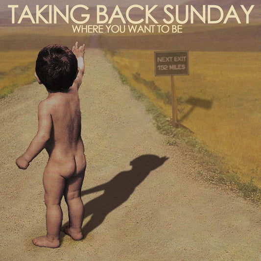 Taking Back Sunday - Where you want to be (LP)