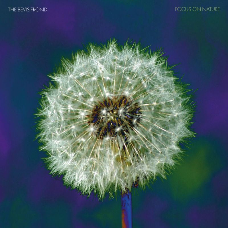 The Bevis Frond - Focus on nature -purple vinyl- (Coloured Vinyl LP)