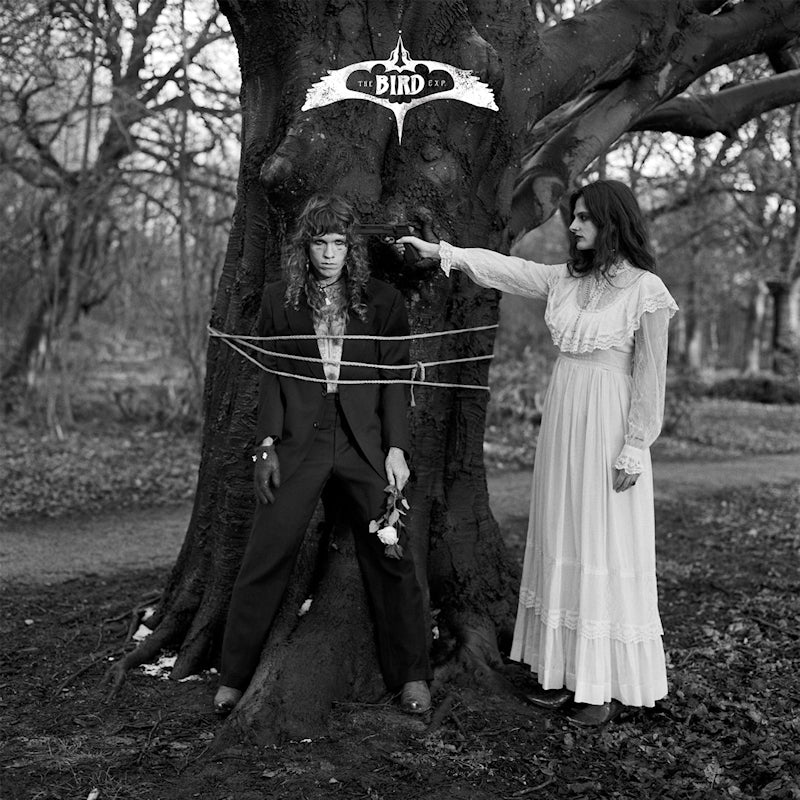 Bird Experience, The - Canto VII (7-inch single)