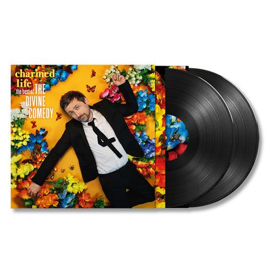 The Divine Comedy - Charmed life: the best of the divine comedy (LP)