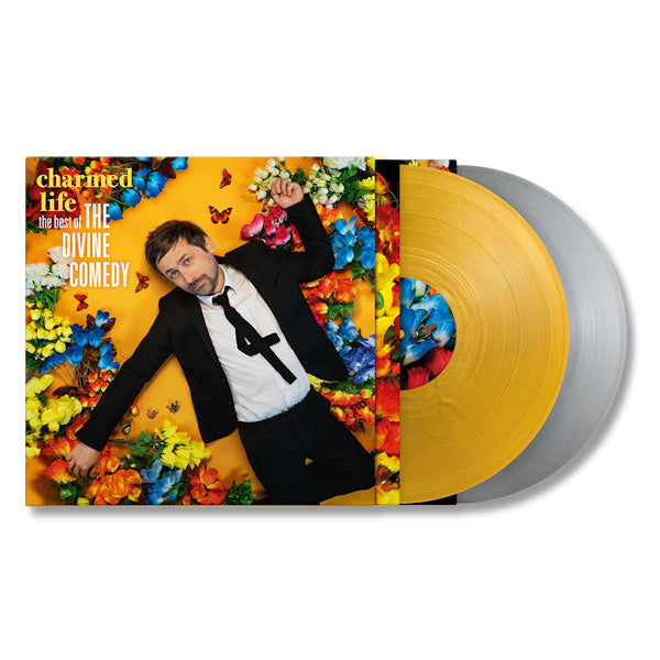 The Divine Comedy - Charmed life: the best of the divine comedy (LP)
