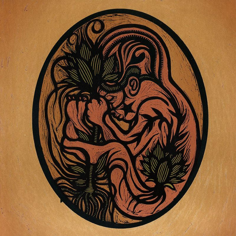 The Gathering - Afterwords (3 Tracks From Vinyl Only Ep Afterlights + 2 Remakes CD)