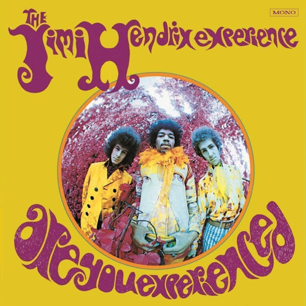 Hendrix, Jimi -Experience- - Are You Experienced (180gr. / Usa Sleeve, High Quality LP)