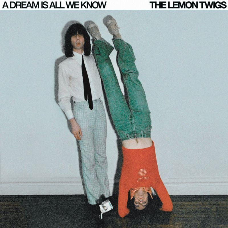 Lemon Twigs - A dream is all we know (ube) (LP)