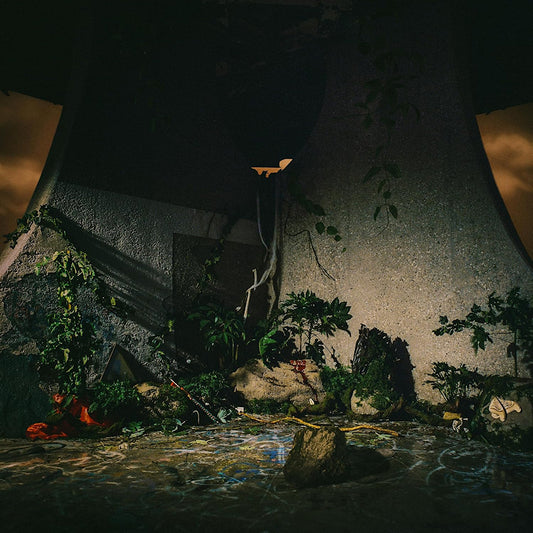 The Plot In You - The plot in you (LP)