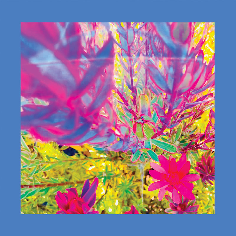 Pinks Reds & Purples - The past is a garden i never fed (CD)