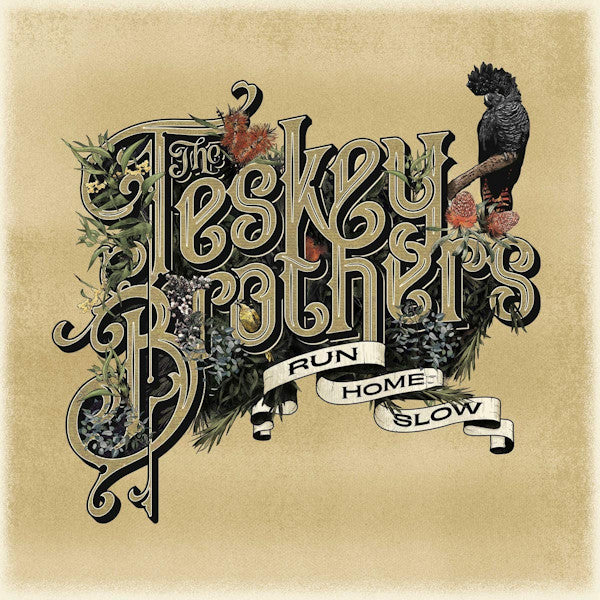 Teskey Brothers - Run home slow (4387595 CD)