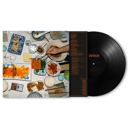 Vices - Before it might be gone (180g, High Quality, Gatefold Sleeve LP)