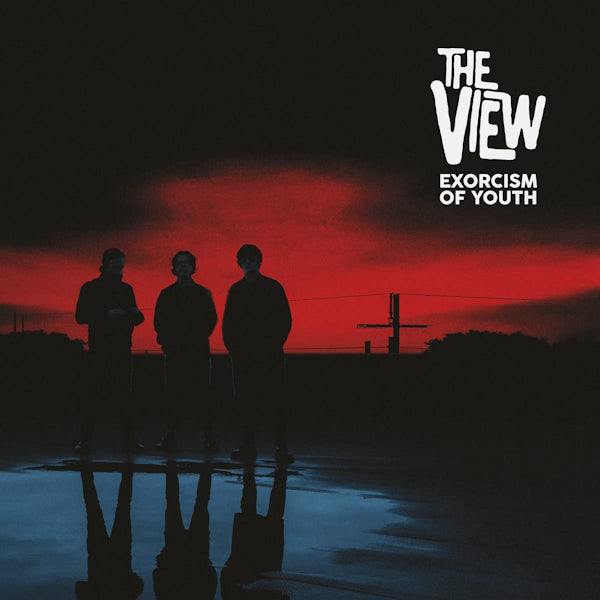 The View - Exorcism of youth (LP)