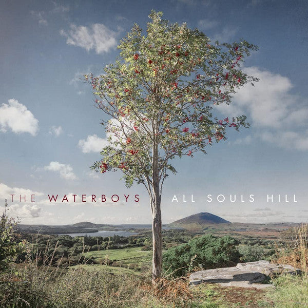 Waterboys - All souls hill (Red Vinyl, Coloured Vinyl LP)