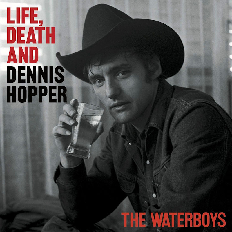The Waterboys - Life, death and dennis hopper (LP)