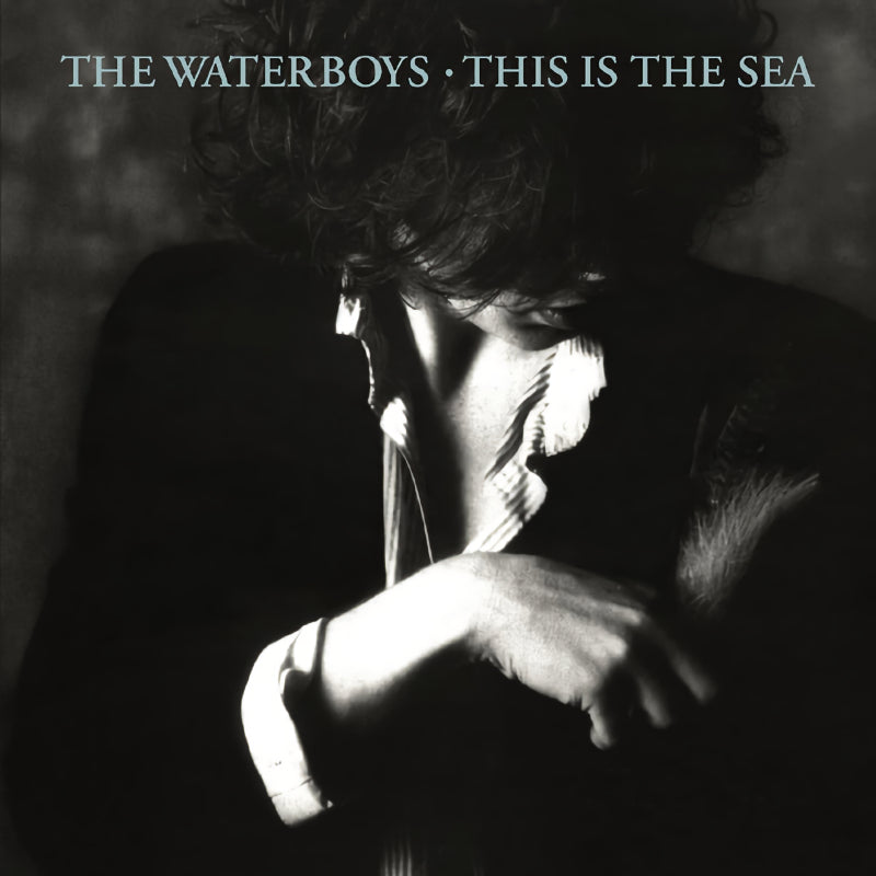 The Waterboys - This is the sea (.. Sea, Collector's Edition, Digipak CD)