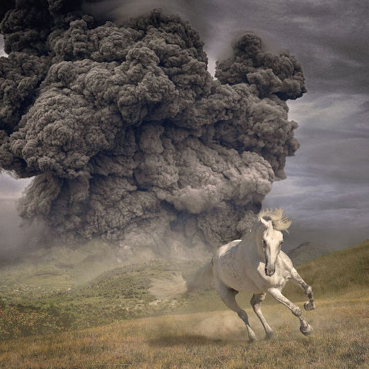 The White Buffalo - Year of the dark horse (.. Dark Horse / Opaque Grey Vinyl, Coloured Vinyl, Limited Edition LP)