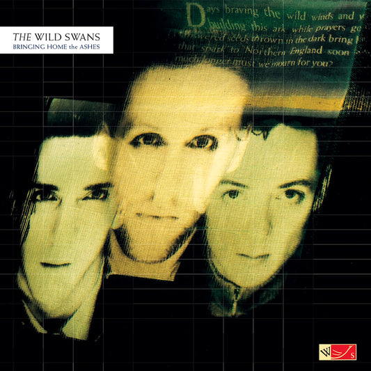Wild Swans - Bringing home the ashes (Insert, Coloured Vinyl LP)