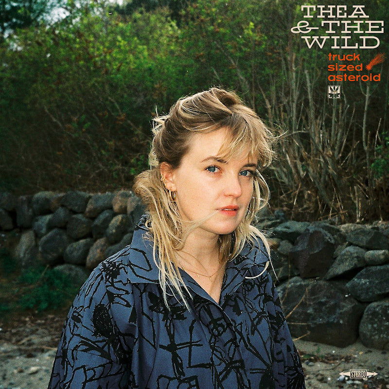 Thea & The Wild - Truck sized asteroid (CD)