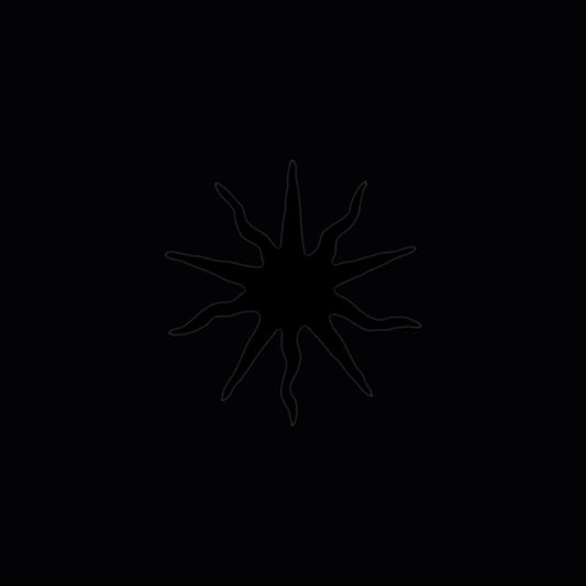 This Immortal Coil - The world ended a long time ago (CD)