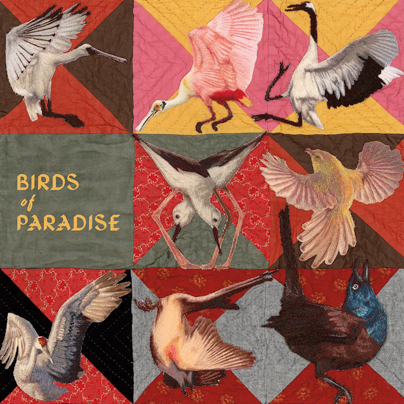 Thomas Dollbaum - Birds of paradise (CD)