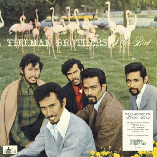 Tielman Brothers - Little Bird (LP)