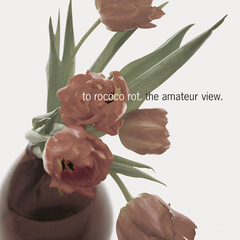 To Rococo Rot - The amateur view (LP)
