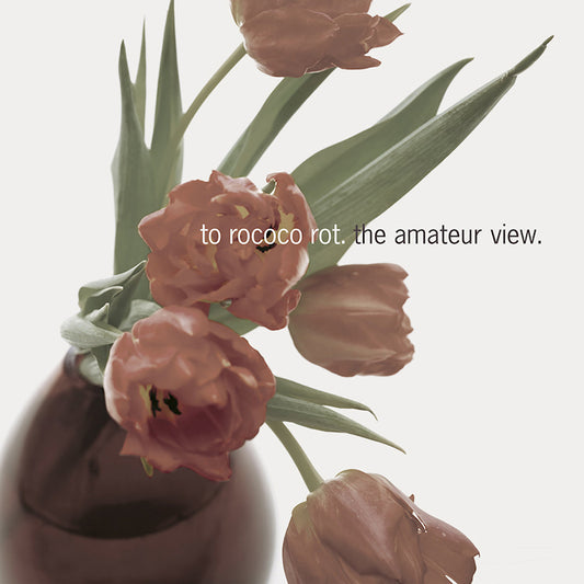 To Rococo Rot - The amateur view (LP)