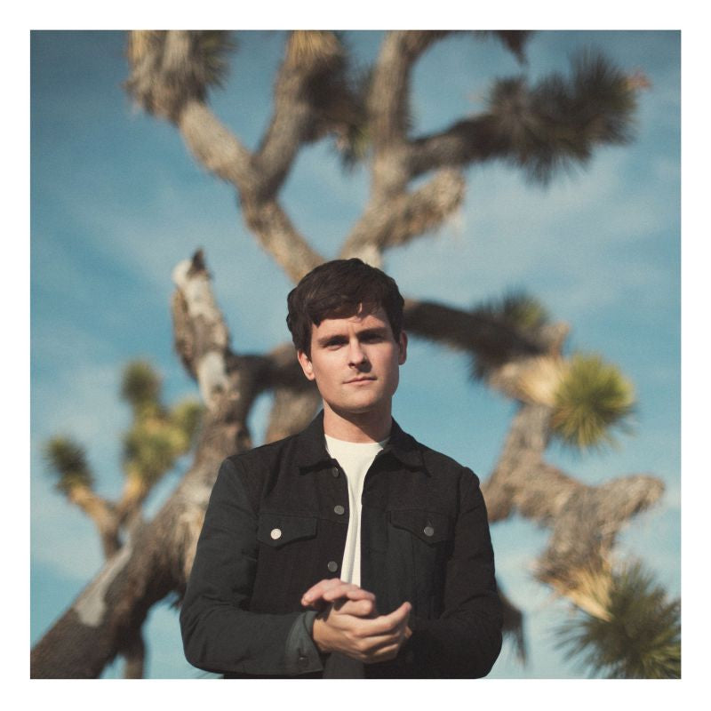 Tom Speight - Everything's waiting for you (LP)