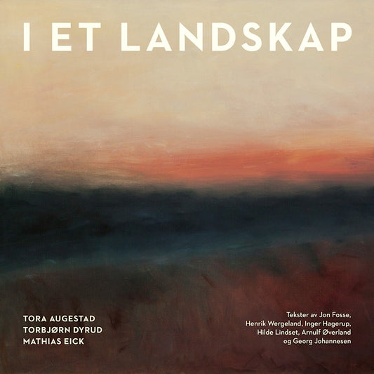 Eick Dyrud & Augestad - I et landskap (CD)