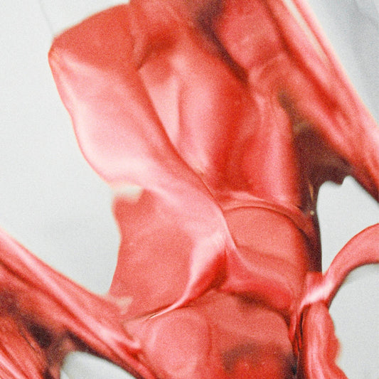 Tramhaus - Blister (LP)