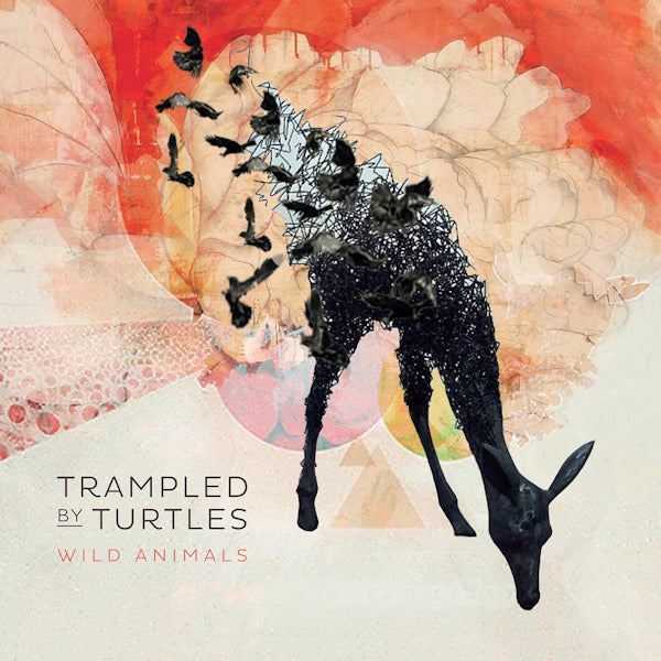 Trampled By Turtles - Wild animals (Recorded In the Legendary Pachyderm Studios LP)