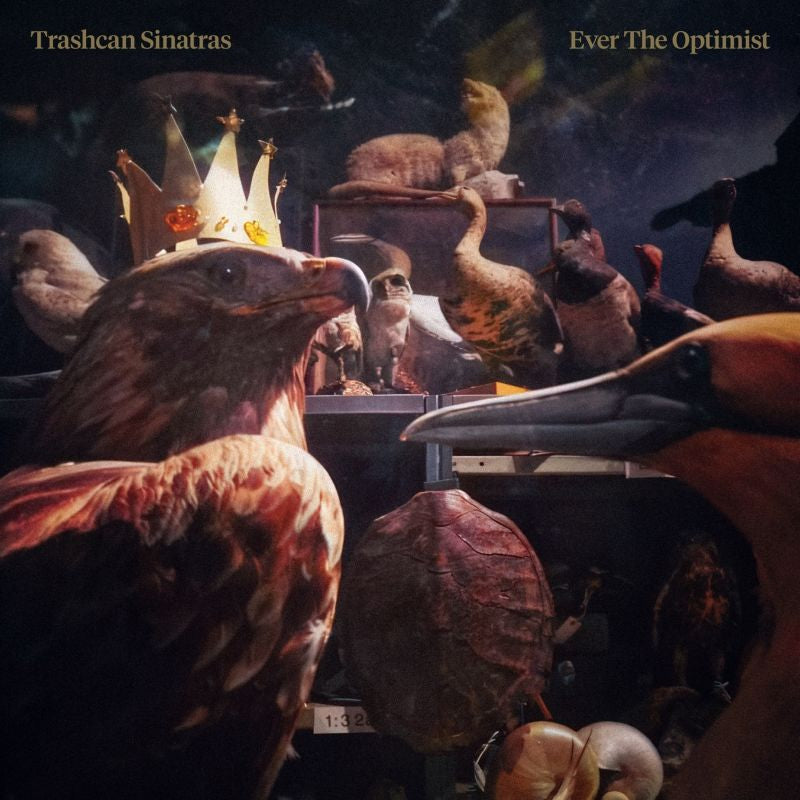 Trashcan Sinatras - Ever the optimist (gold clout vinyl) (LP)