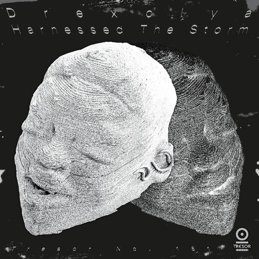 Drexciya - Harnessed the storm (180gr. Silver Pantone, Uv Spot Varnish, High Quality LP)