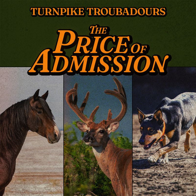 Turnpike Troubadours - The price of admission (CD)
