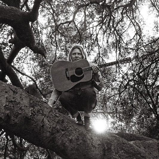 Ty Segall - hello, hi (CD)