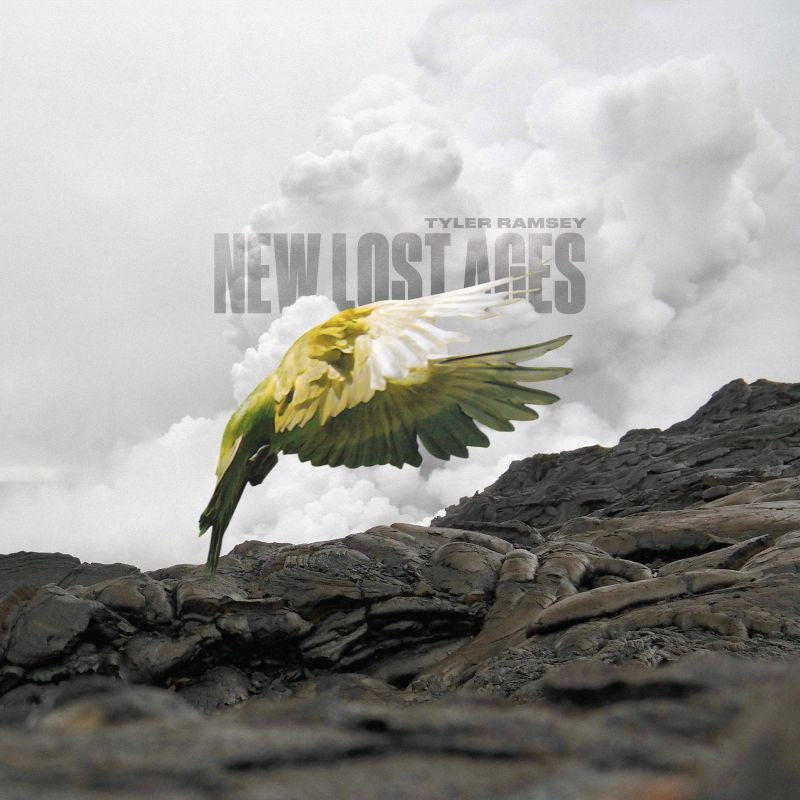 Tyler Ramsey - New lost ages (Natural Warm Grey Vinyl, Coloured Vinyl LP)