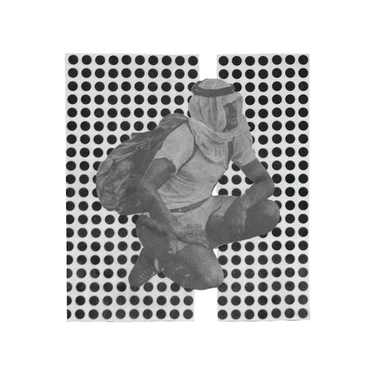 Ulrika Spacek - The album paranoia (LP)