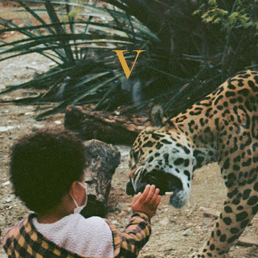 Unknown Mortal Orchestra - V (Digipak CD)