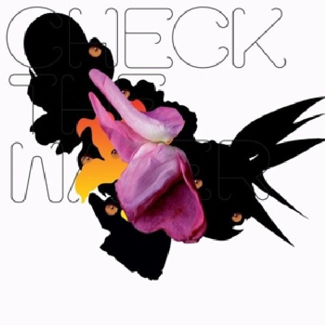 V/A (Various Artists) - Check the water -29tr- (W/Luger/Four Tet/Caribou/Murcof/Colleen/310/Icarus/A.O. CD)